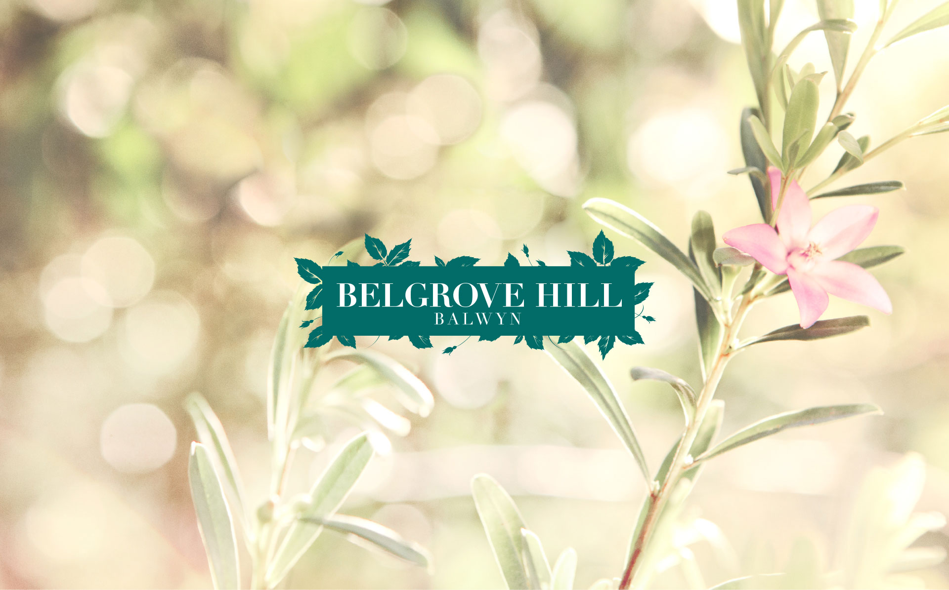 Belgrove Hills